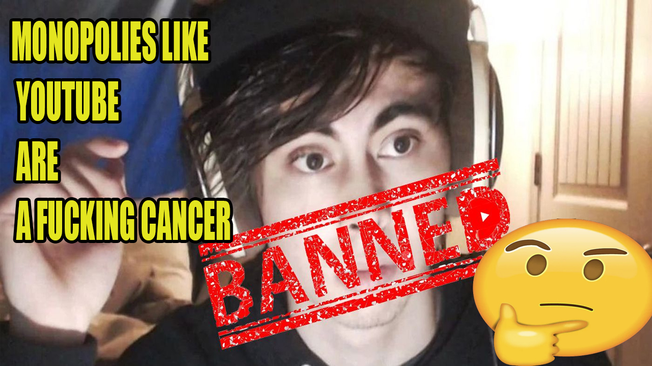 Relying on any Platform to make money is just Terrifying to me Feat. LeafyIsHere